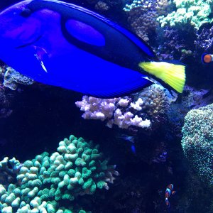 IMG_2530.jpg