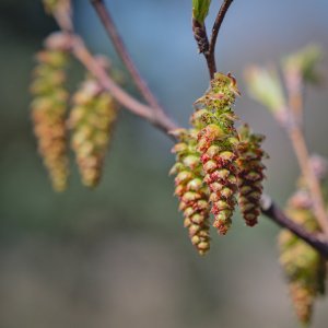 P1021566.jpg
