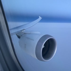 IMG_0104.jpeg