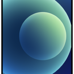 iphone punch hole.png
