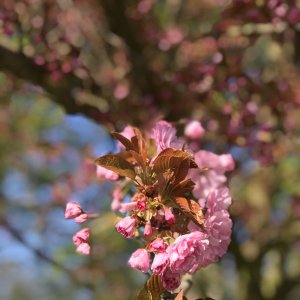 IMG_4533.jpeg
