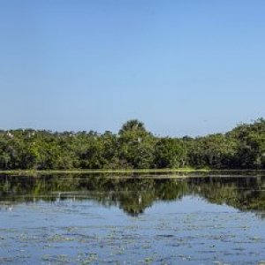 Wetlands pano3 - 9000px.jpg
