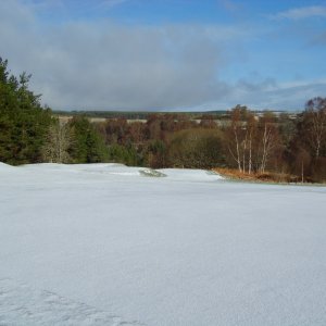 DSC02354.jpg