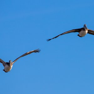 IMG_6145.jpg