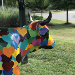 Heart Cow.jpg