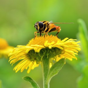20120822_31.jpg