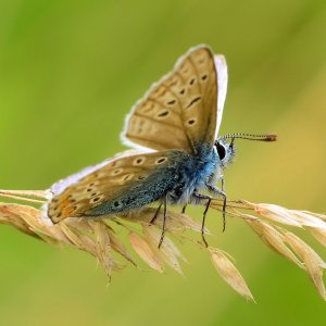 20120823_12.jpg