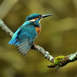 DSC_1673.jpg
