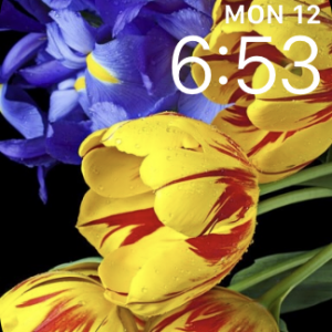 IMG_4226.PNG