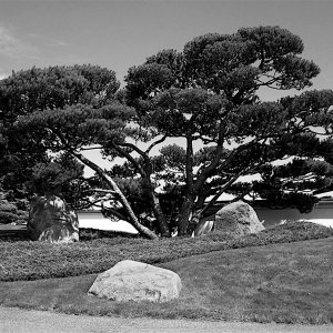 05_440aJpnGardens.jpg