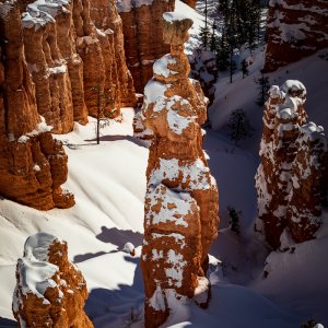 Bryce Canyon_067_2019_02_10_5997.jpg