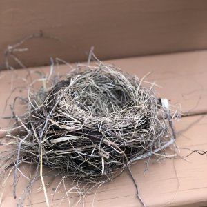 608E3375-2F0F-48F6-AFF0-2E2CA919FF64.jpeg