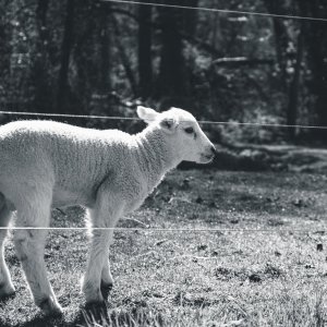 thrift_2021-12.jpg