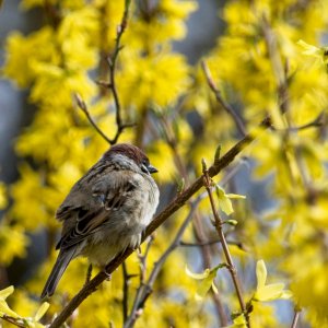IMG_7163.jpg