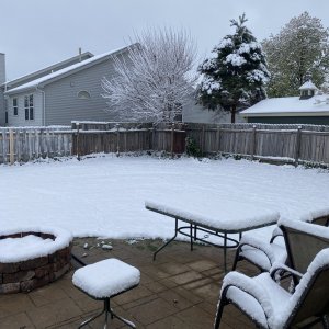 Spring Snow 2021.jpeg