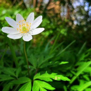 IMG_2924.JPG