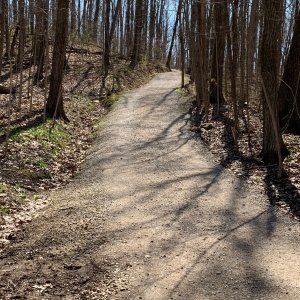 Battelle Darby Creek - Clockwise hill near bottom.jpeg