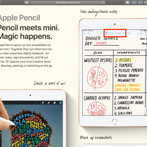 Screen Shot 2021-04-24 at 1.47.16 PM.png
