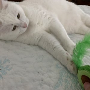 IMG_0535.jpeg