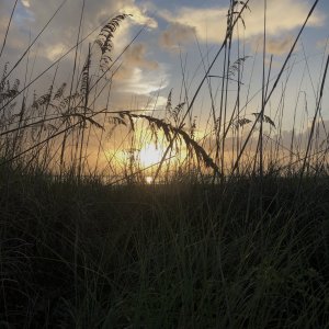 93FCEFD5-CB78-4907-A13A-60AA0F7BBEFB.jpeg