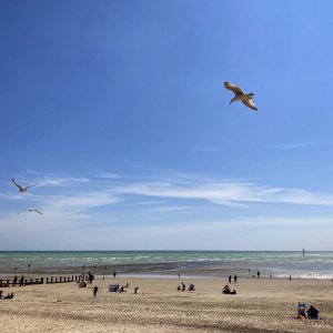 IMG_3539.JPG