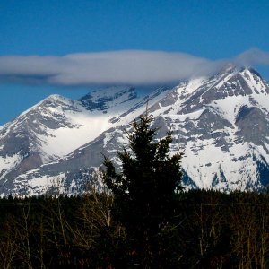 100_4216.jpg