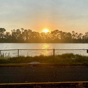 IMG_8624.jpeg