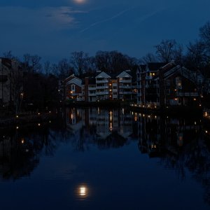 Moonlight Reflections.jpg