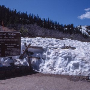 1Untitled-Scanned-46.jpg