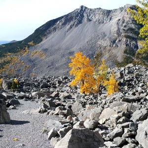 10ik_305TurtleMountain.jpg