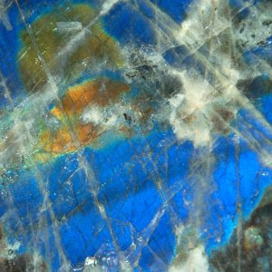 Labradorite-vertical - adjusted levels.jpg