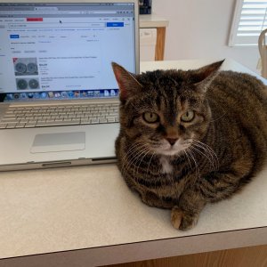 Scully next to PowerBook G4 17.jpeg