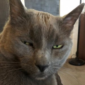 IMG_0747.jpeg