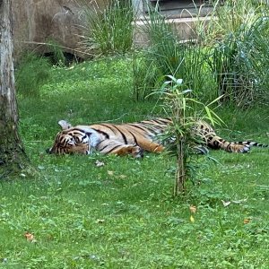IMG_8649.jpeg
