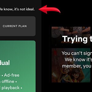 spotify-netflix.jpg