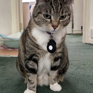 Chloe.jpg