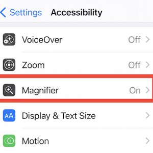zoom.jpg