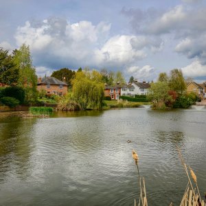 IMG_3888.JPG