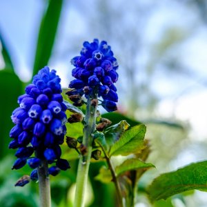 5FDD93BE-AD96-410B-BE10-18446671E0D7.jpeg