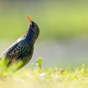 F7981016-874D-4B1C-A04D-38086F426724.jpeg