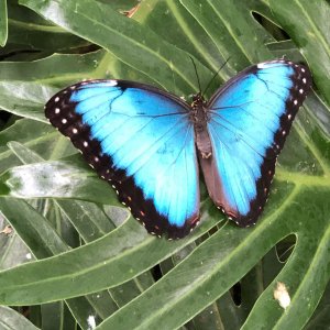 IMG_6142.jpg