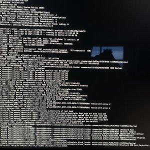 IMG_0223.jpeg