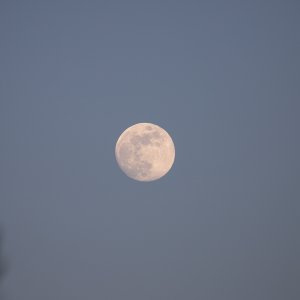 IMG_2974.jpg