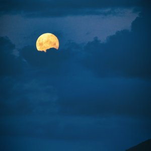 8B1985D3-A577-4ACE-A463-BACBDB3B59AB.jpeg