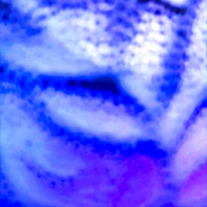 Abstract in Blue and Purple1.jpeg
