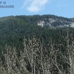 4608TestW8.jpg