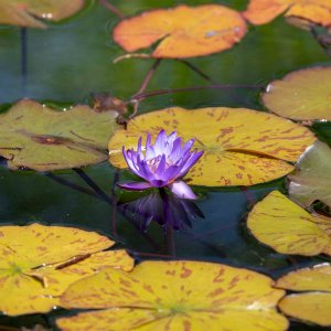 IMG_1355.jpg