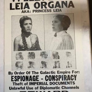 Wanted - Princess Leia.jpeg