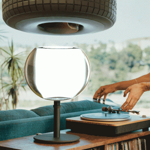 wheel-in-bowl3.gif