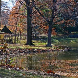 Holden gazebo-1 resize.jpg